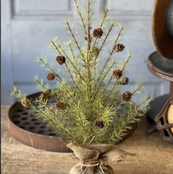 Primitive 24 inch Cyprus Christmas Tree - Picture 1 of 1